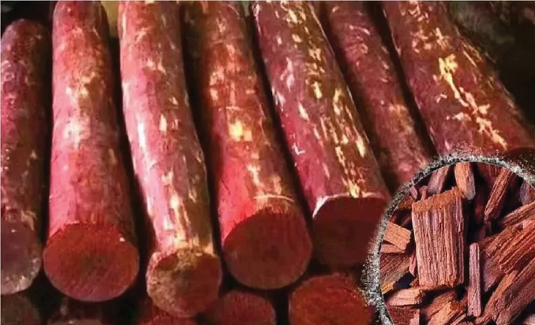 4536.jpg