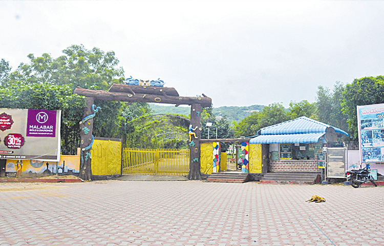 park.jpg