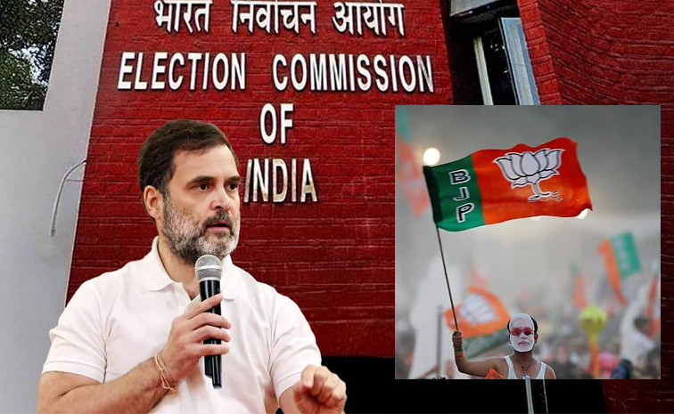 BJP_2019_Vote_Chori.jpg