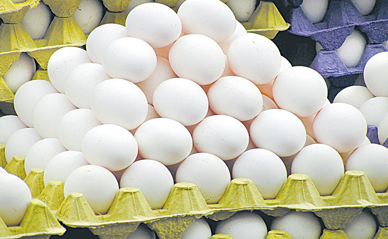 EGGS2.jpg