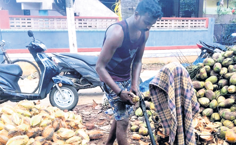 coconut.jpg