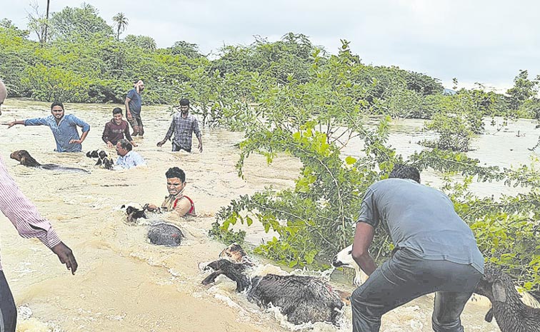 palamuru.jpg