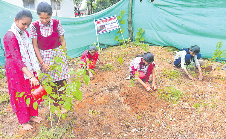 Birthday-Garden-Siddipet.jpg