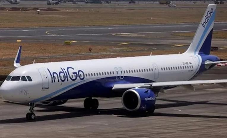Indigo-Aircraft-Tail-Hits-R.jpg