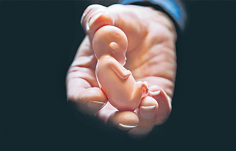 abortion.jpg