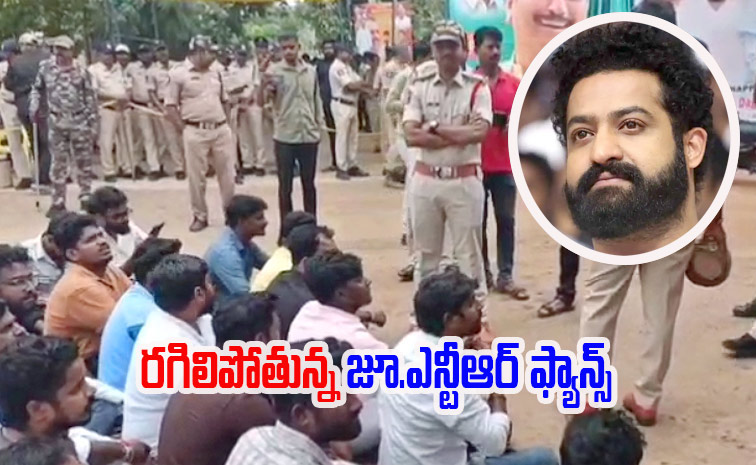 ntrfans6.jpg