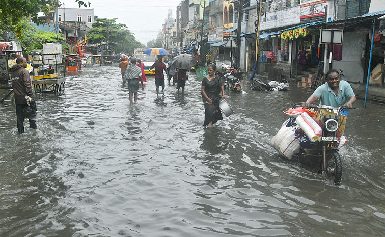 Rain.jpg