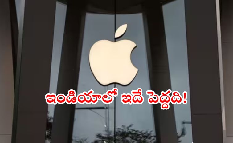 apple.jpg