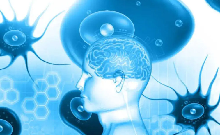 brain-main.jpg