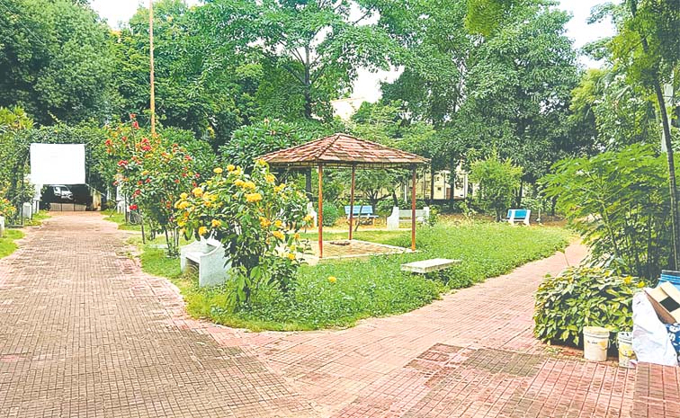 park.jpg