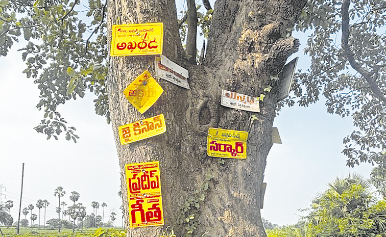 tree2.jpg