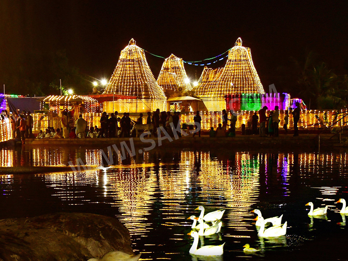 World-Photography-Day-2025-Special-Photos-in-Sakshi_-_2826_29.jpg 26