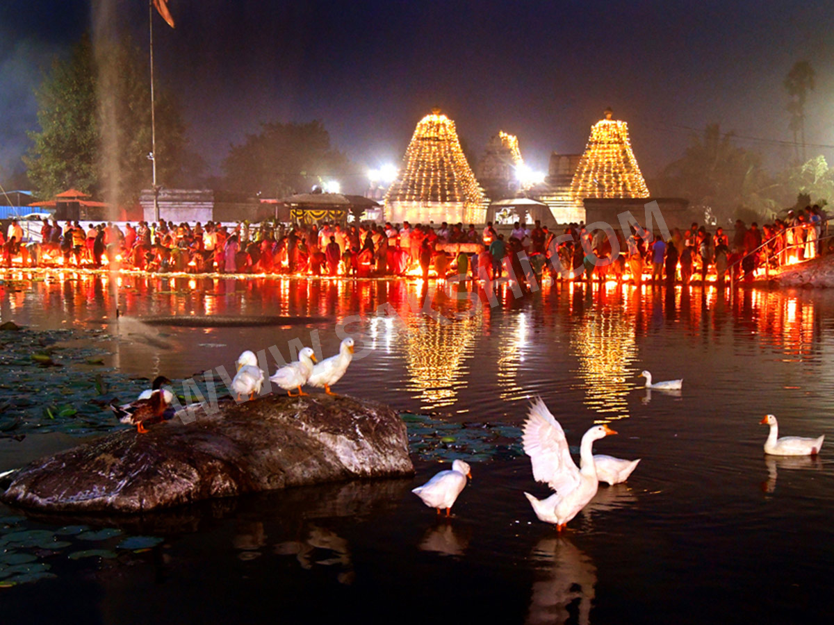World-Photography-Day-2025-Special-Photos-in-Sakshi_-_2830_29.jpg 30