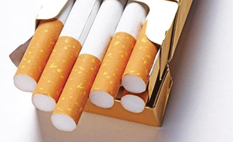 558.jpg