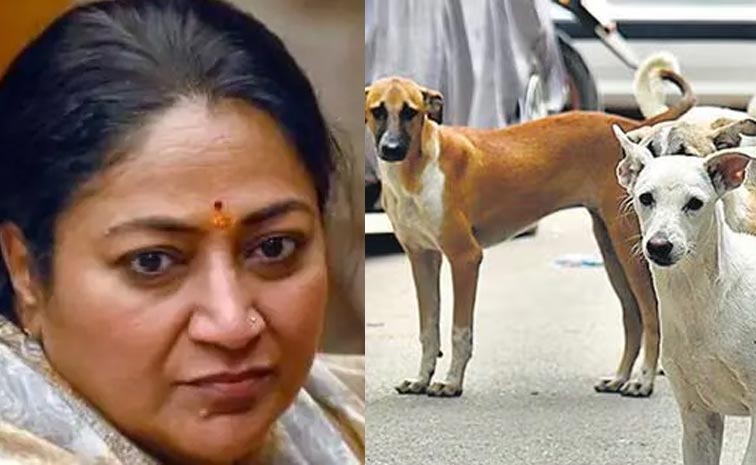 Delhi_CM_Attacked_Stray_Dog.jpg