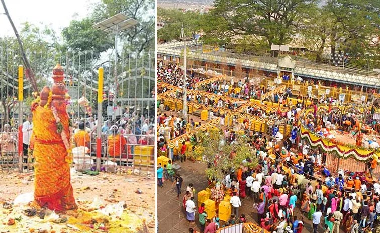Telangana-Government-Alloca.jpg