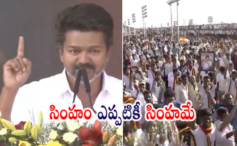 vijay10.jpg