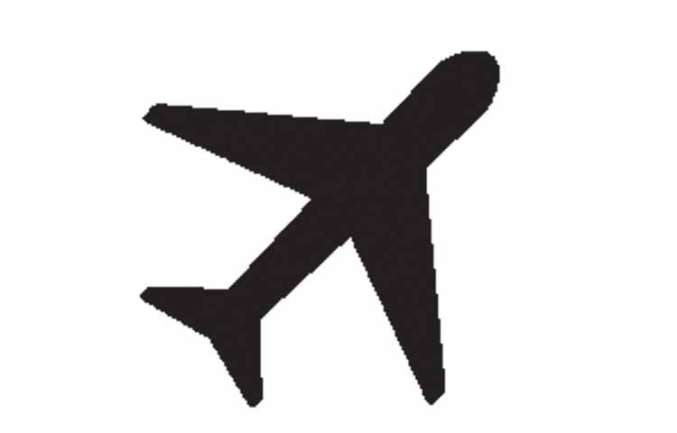 flight.jpg