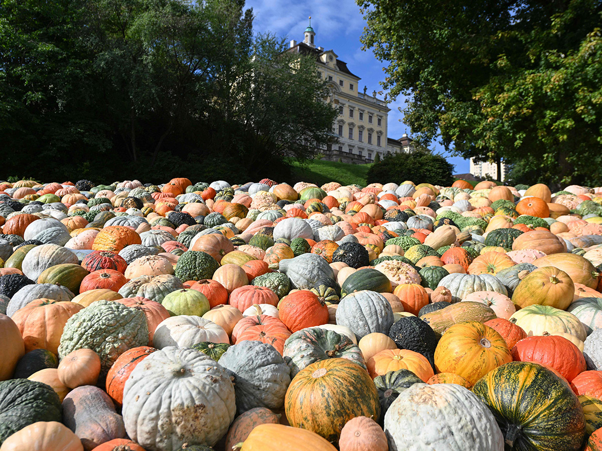 Pumpkin_20Festival_20Germany_202025_20Photos__20_2811_29.jpg 11