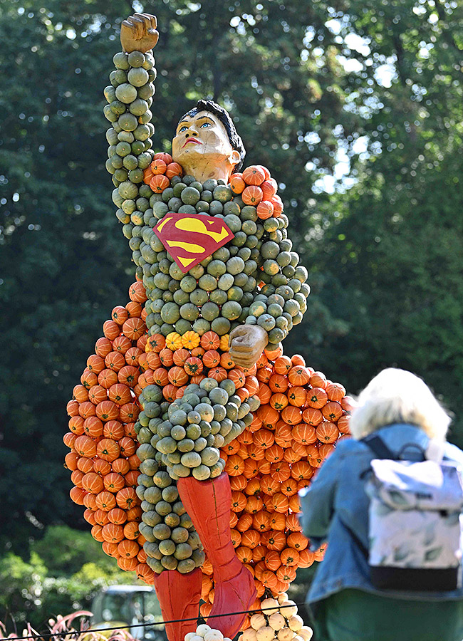 Pumpkin_20Festival_20Germany_202025_20Photos__20_2814_29.jpg 14