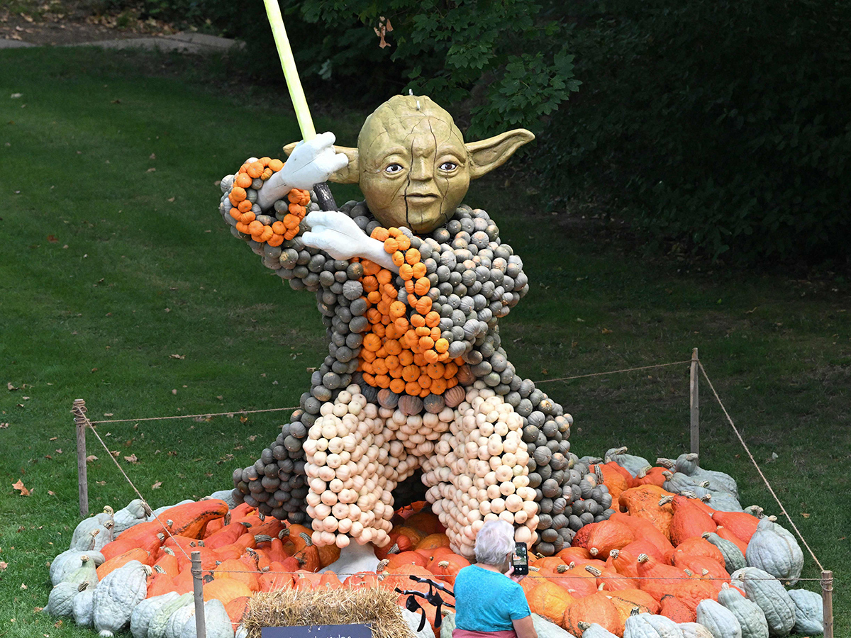 Pumpkin_20Festival_20Germany_202025_20Photos__20_283_29.jpg 3