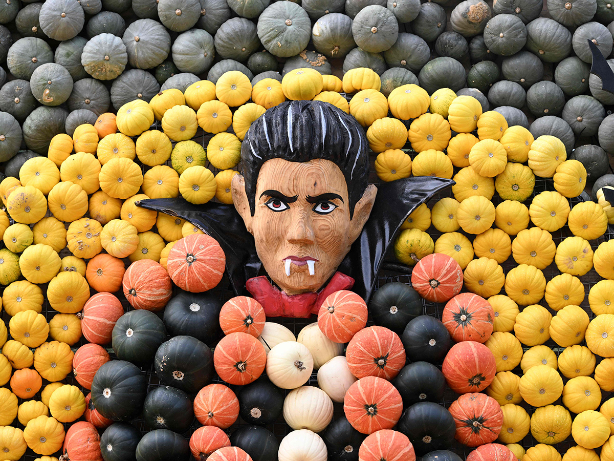 Pumpkin_20Festival_20Germany_202025_20Photos__20_284_29.jpg 4