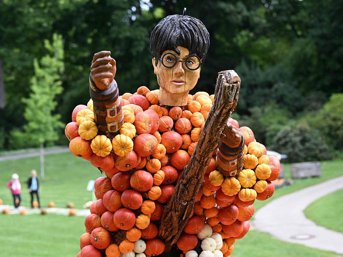 Pumpkin_20Festival_20Germany_202025_20Photos__20_286_29.jpg 6