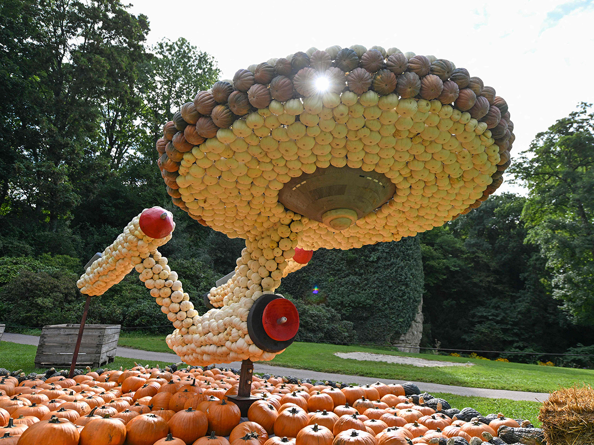 Pumpkin_20Festival_20Germany_202025_20Photos__20_287_29.jpg 7