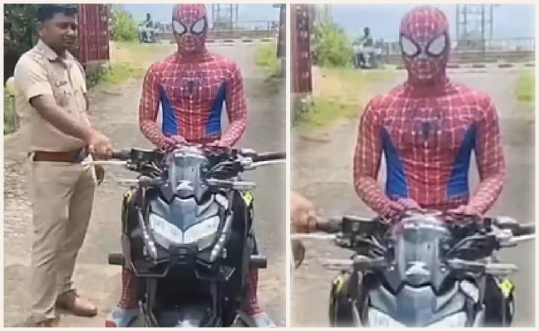spyderman2.jpg