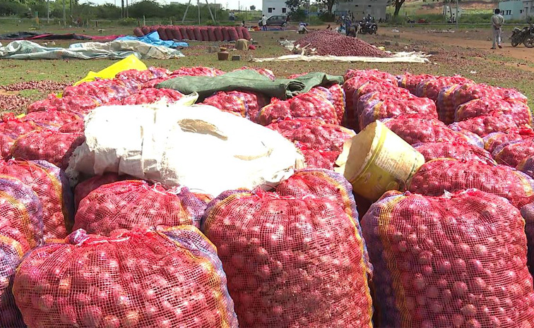 Onion-Farmers.jpg