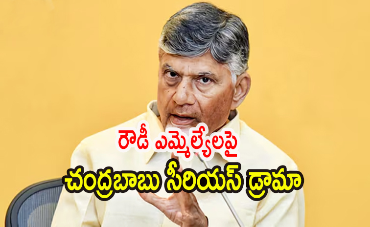 chandrababu3.jpg