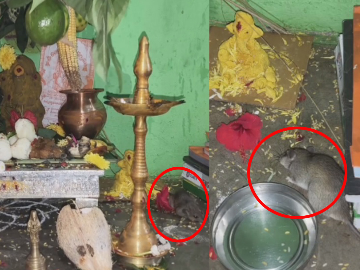 Ganesh_Rat1.jpg