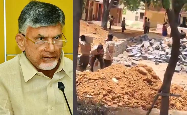 CBN_0.jpg