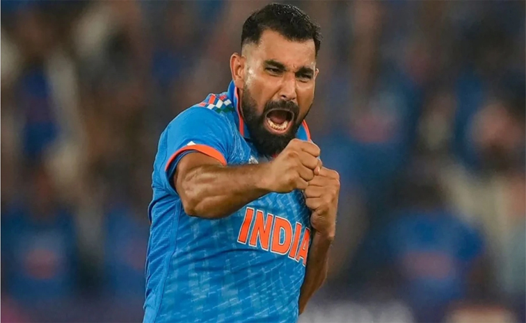 shami.jpg