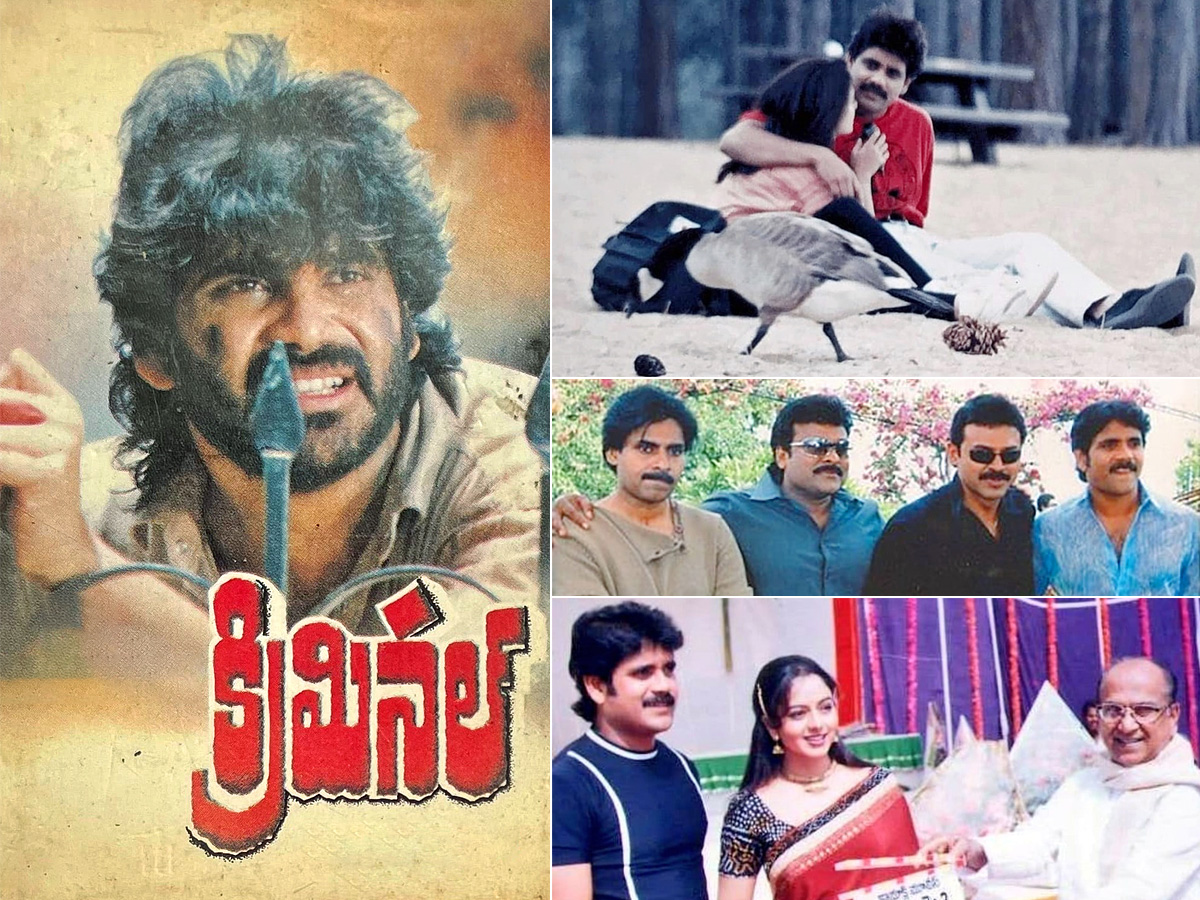 birthday-nagarjuna-akkineni.jpg 1