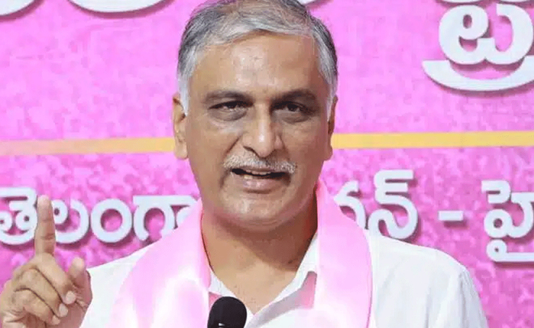 Harish-Rao.jpg