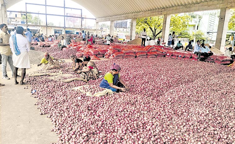 Onion-farmers.jpg