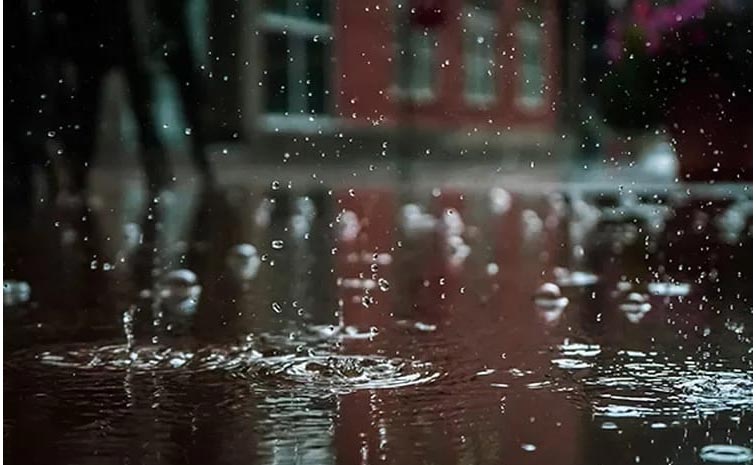 Rain_AP.jpg