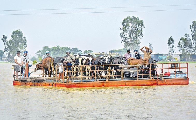 balla-kattu-photo.jpg