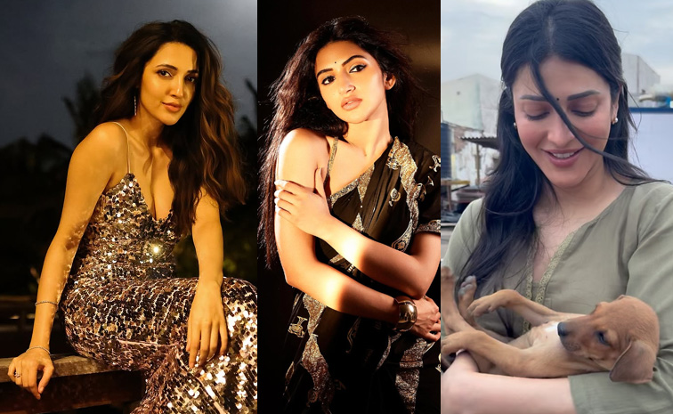 neha-shetty-sreeleela.jpg
