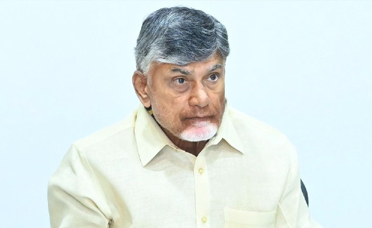 chandrababu1.jpg