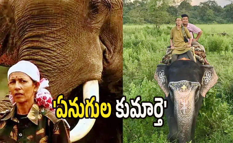 elephant1.jpg