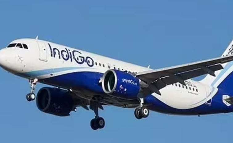 indigo1.jpg