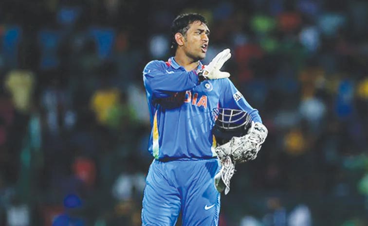 msd.jpg