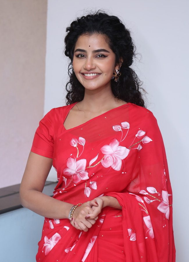 anupama_20parameswaran3.jpg 4