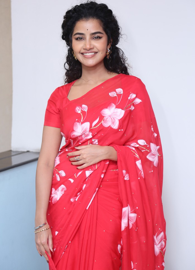 anupama_20parameswaran7.jpg 8