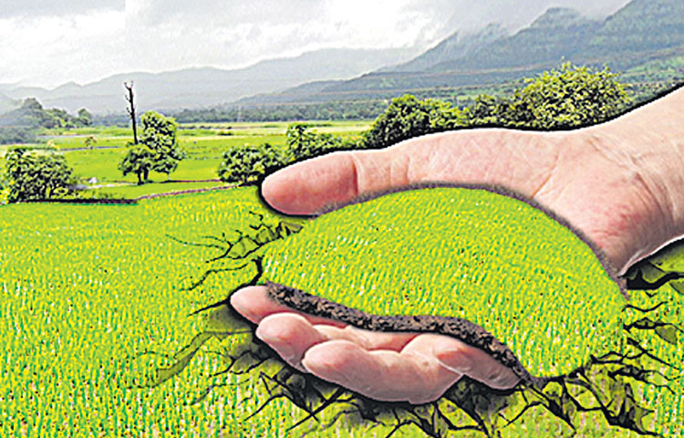 land_20grab.jpg