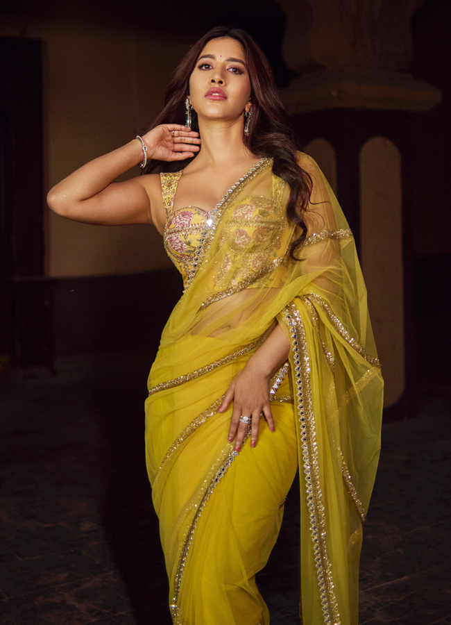 Nabha_20natesh_20new_20pictures5.jpg 6