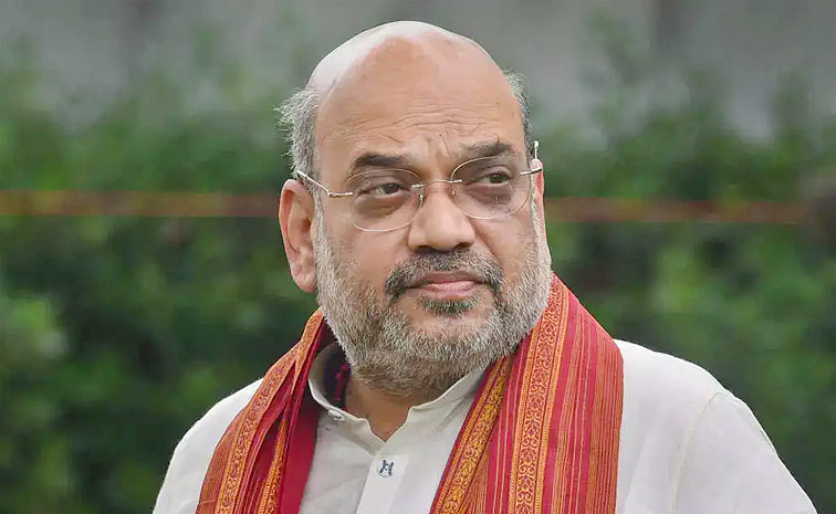 amith1.jpg