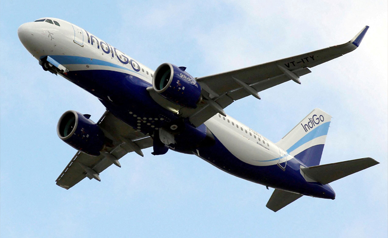 indigo01.jpg